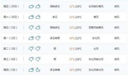 衡阳今日爆料电话,揭秘热线背后的真相与故事